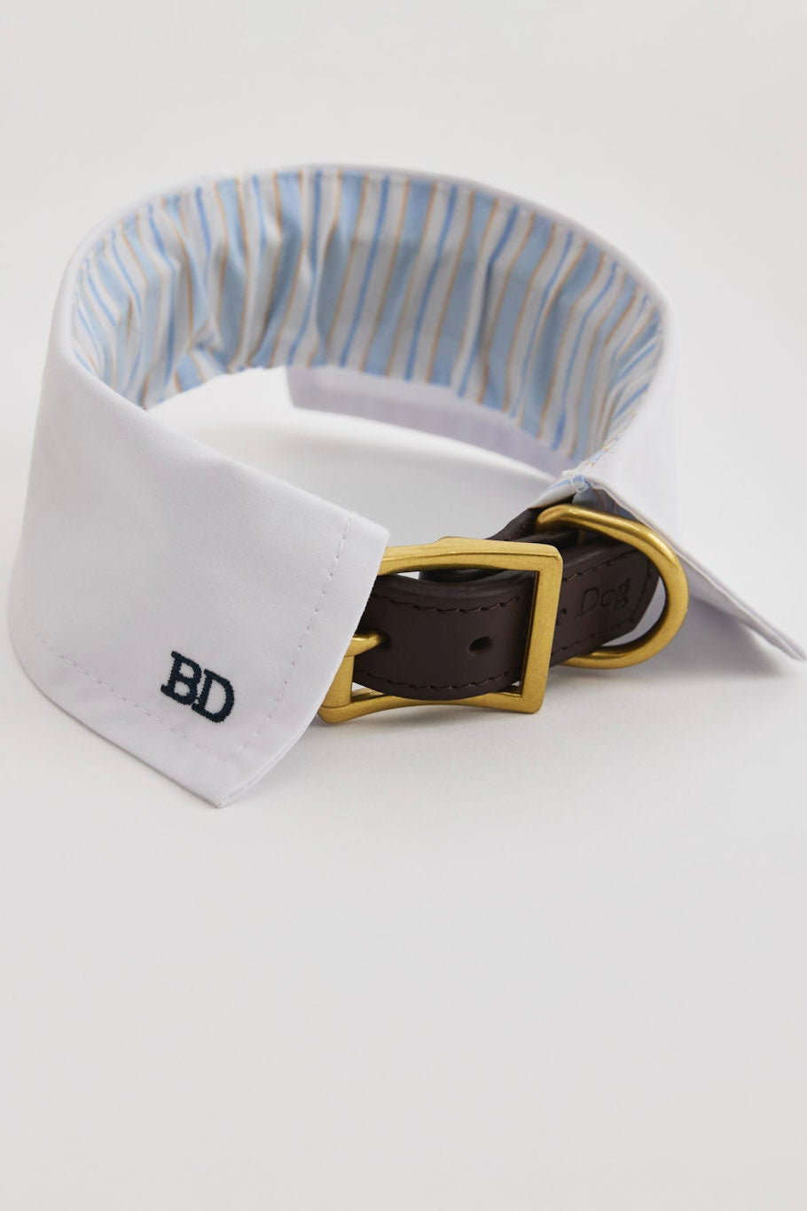 Puppy Collar-4