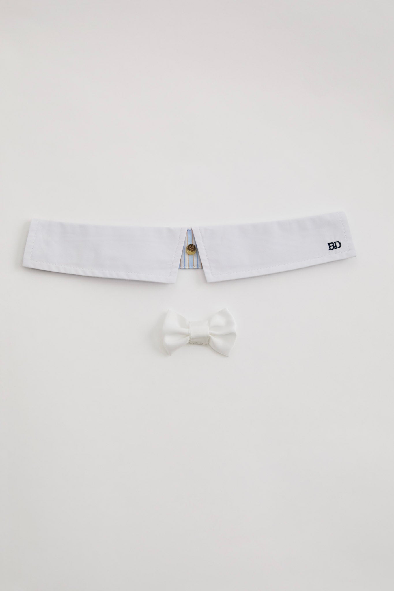 Puppy Collar-5