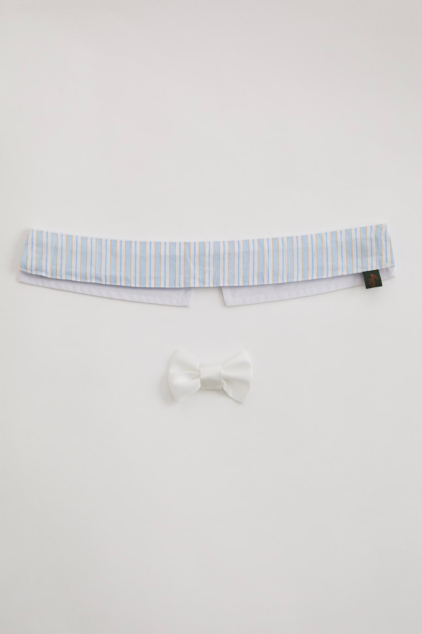 Puppy Collar-6