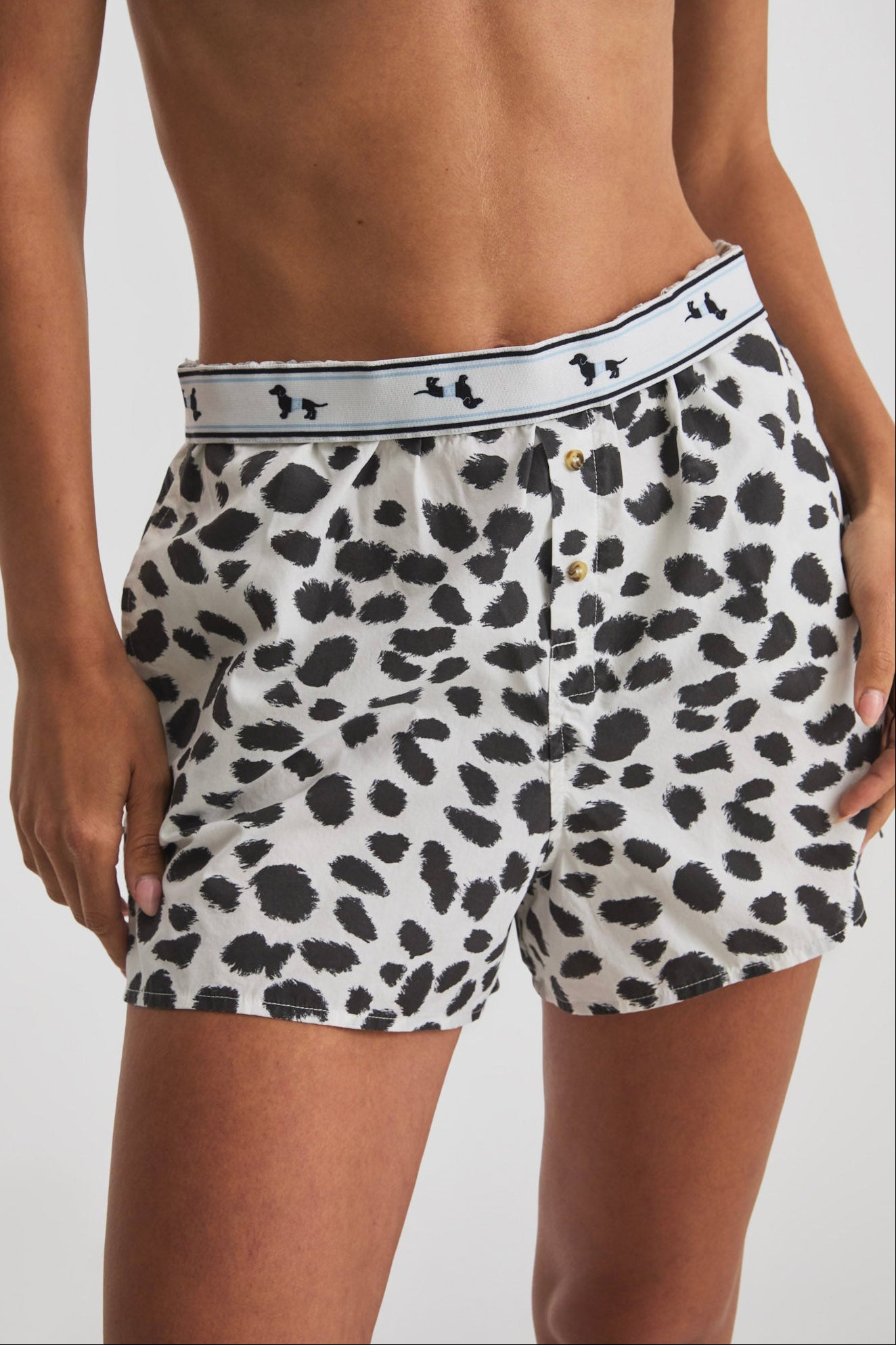 Borrowed Boxer-3