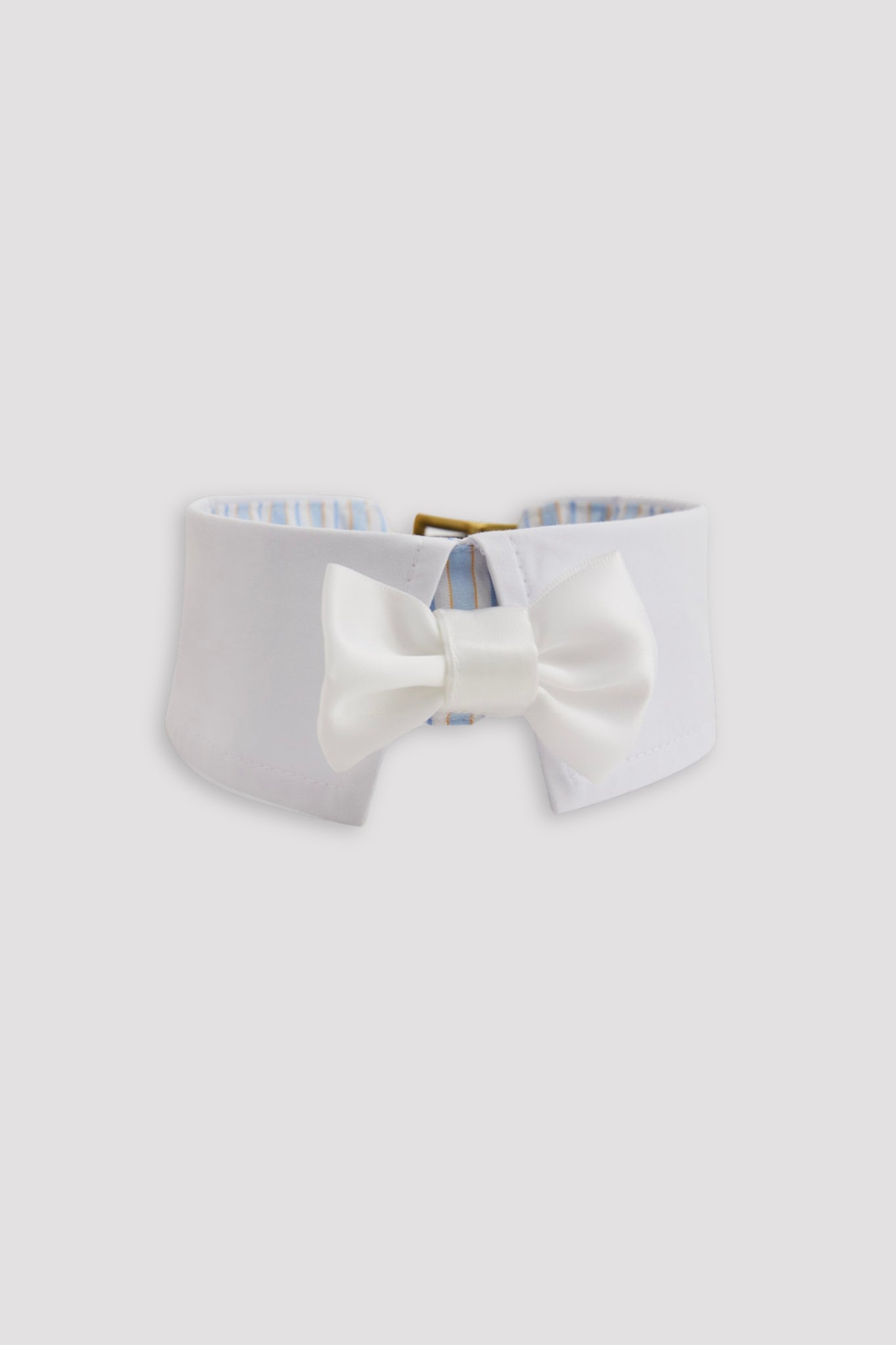 Puppy Collar