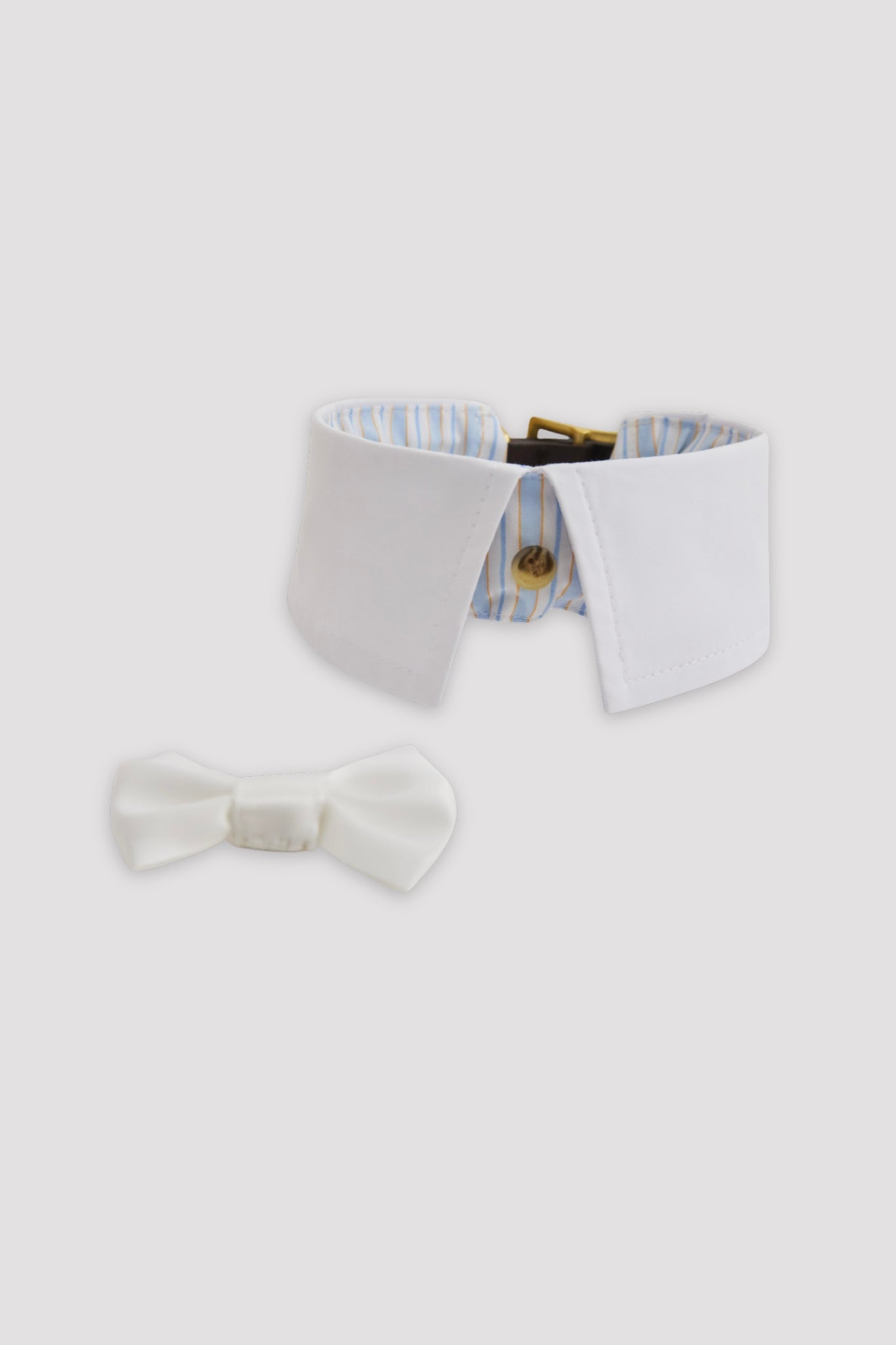 Puppy Collar-3