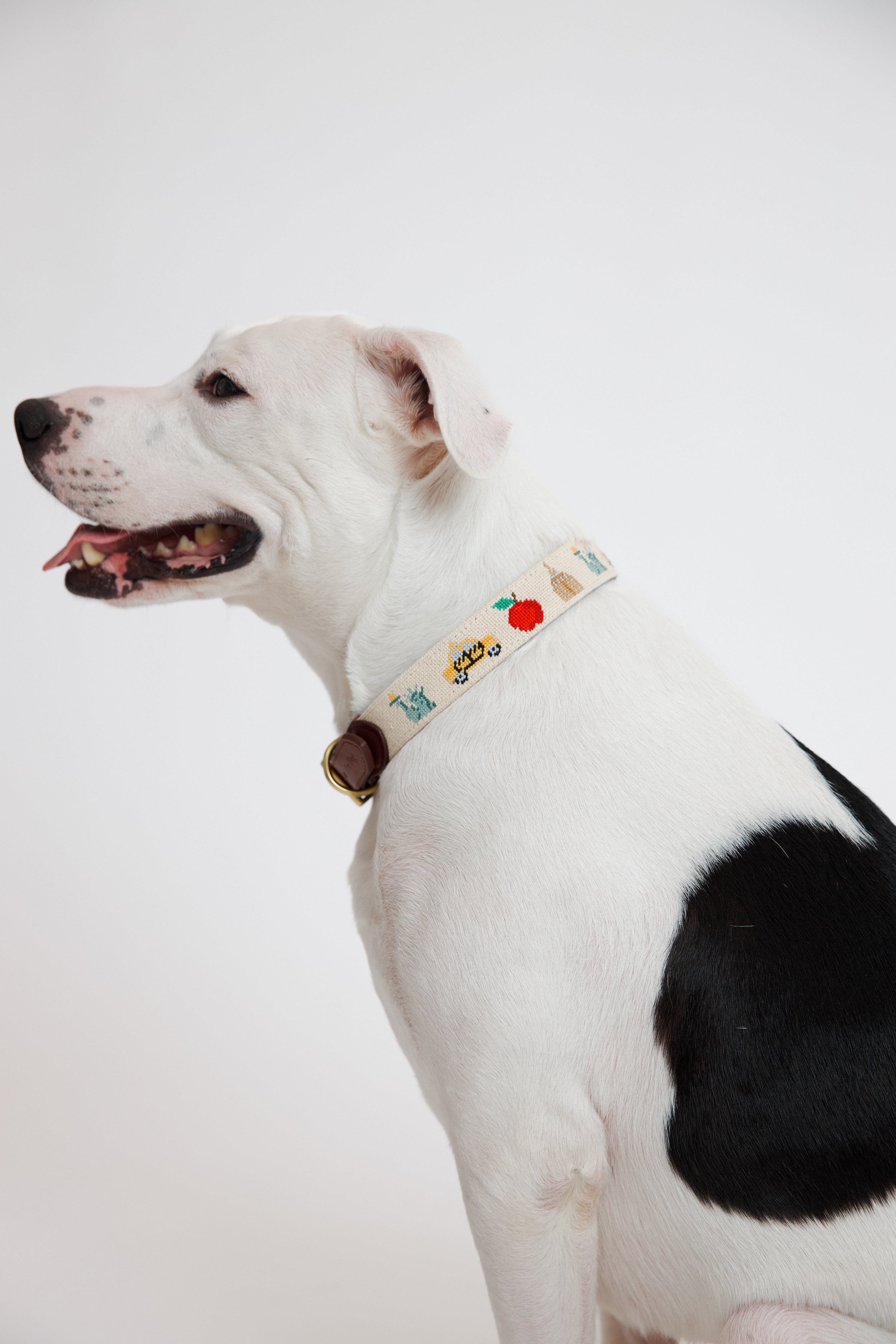 Empire Needlepoint Collar