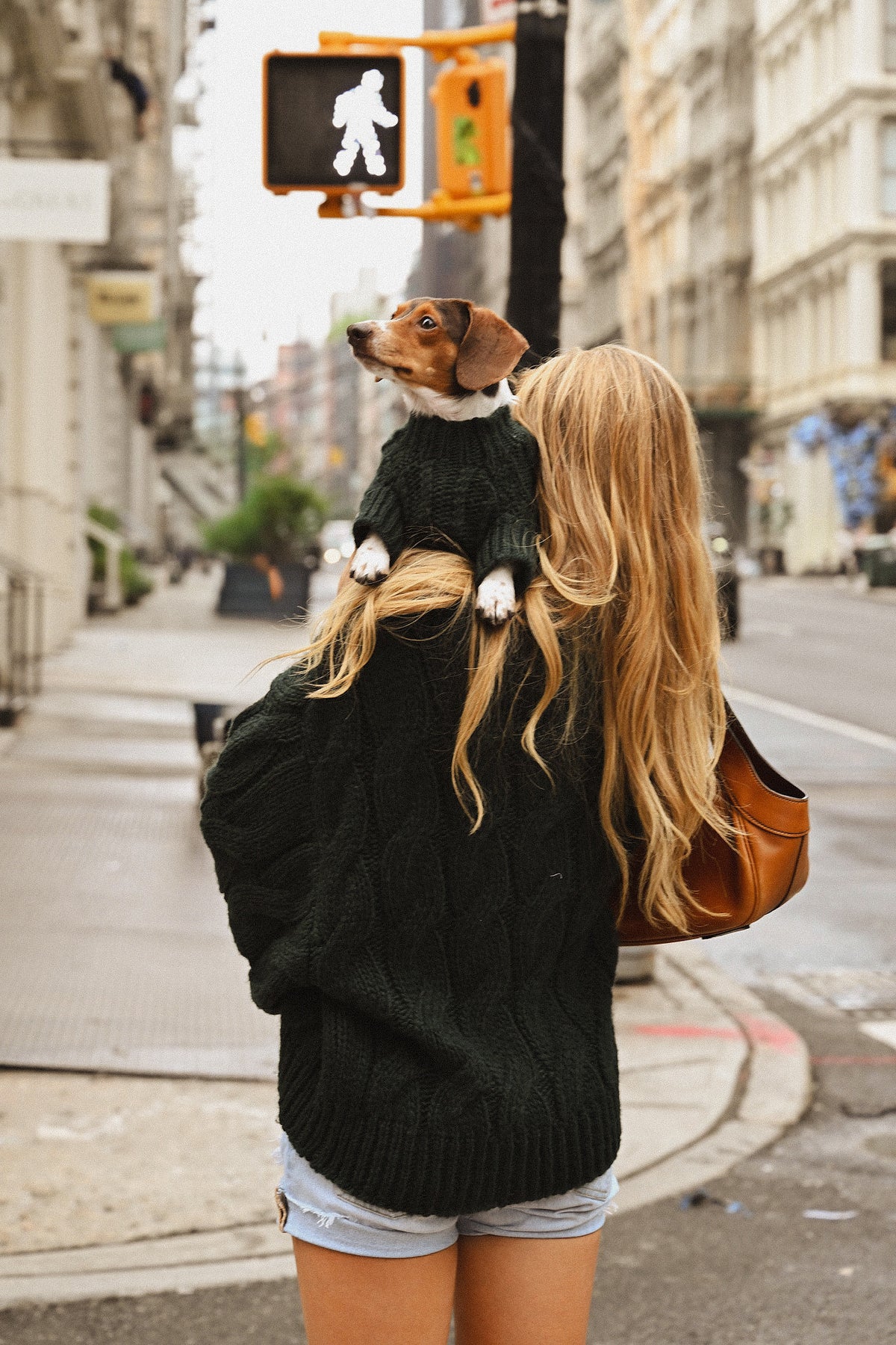 Puppy Turtleneck-6