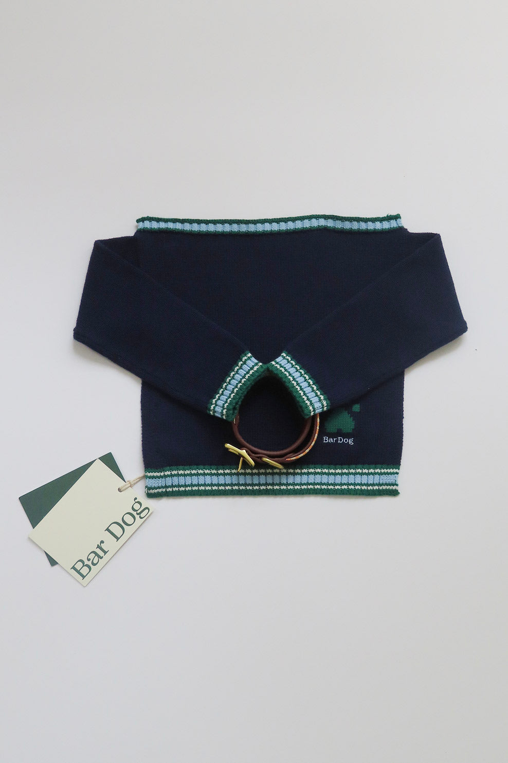 Puppy Shawl