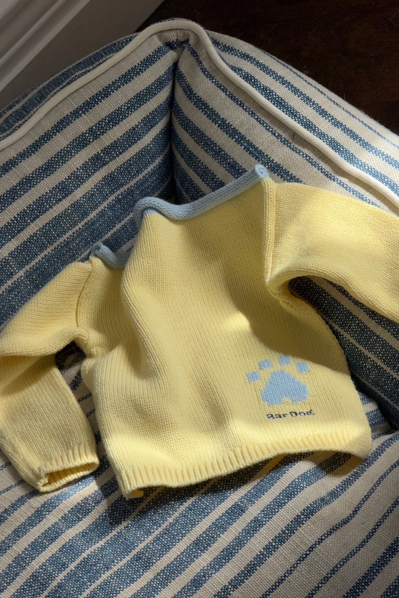 Puppy Shawl-4