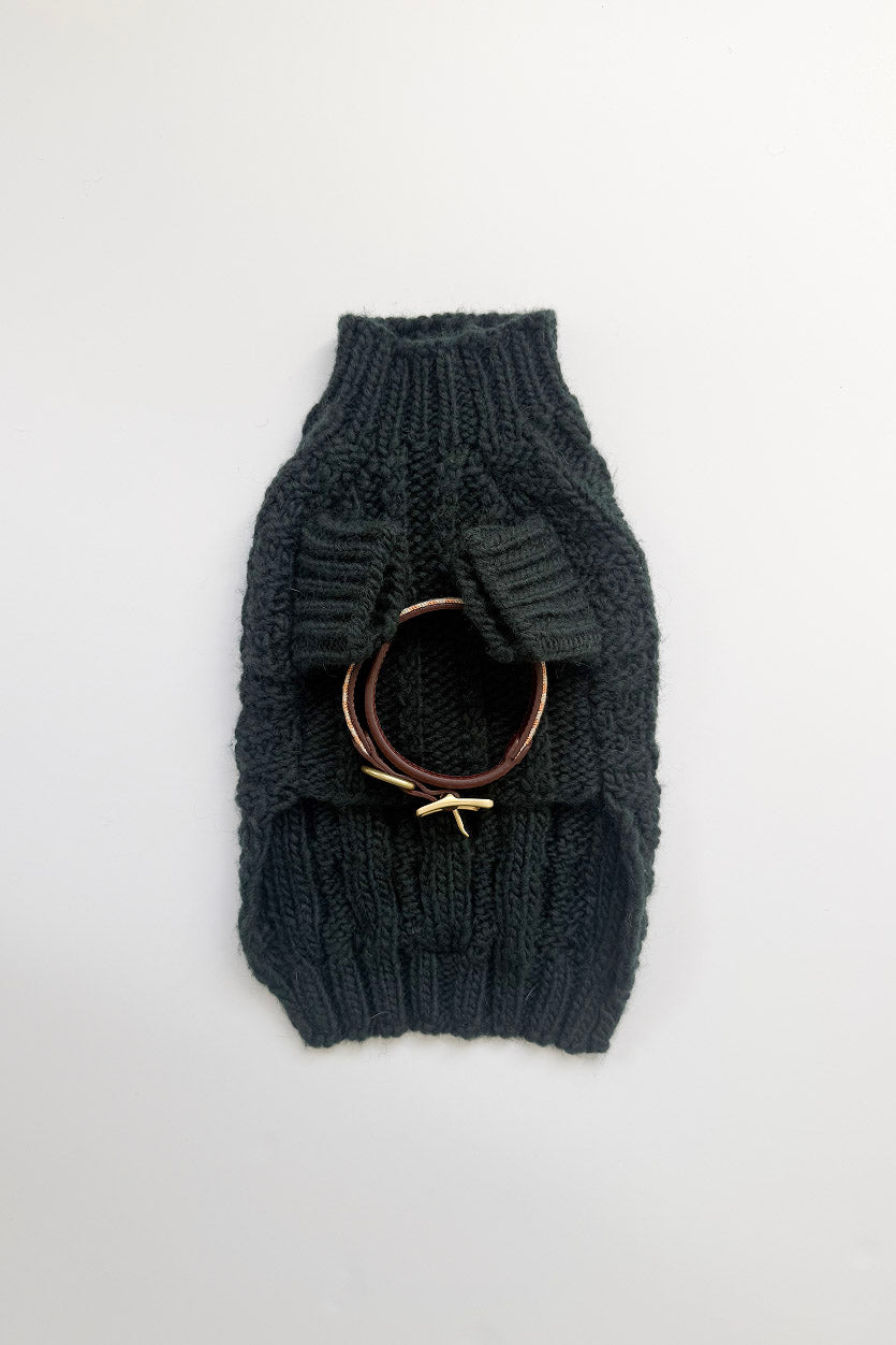 Puppy Turtleneck-3