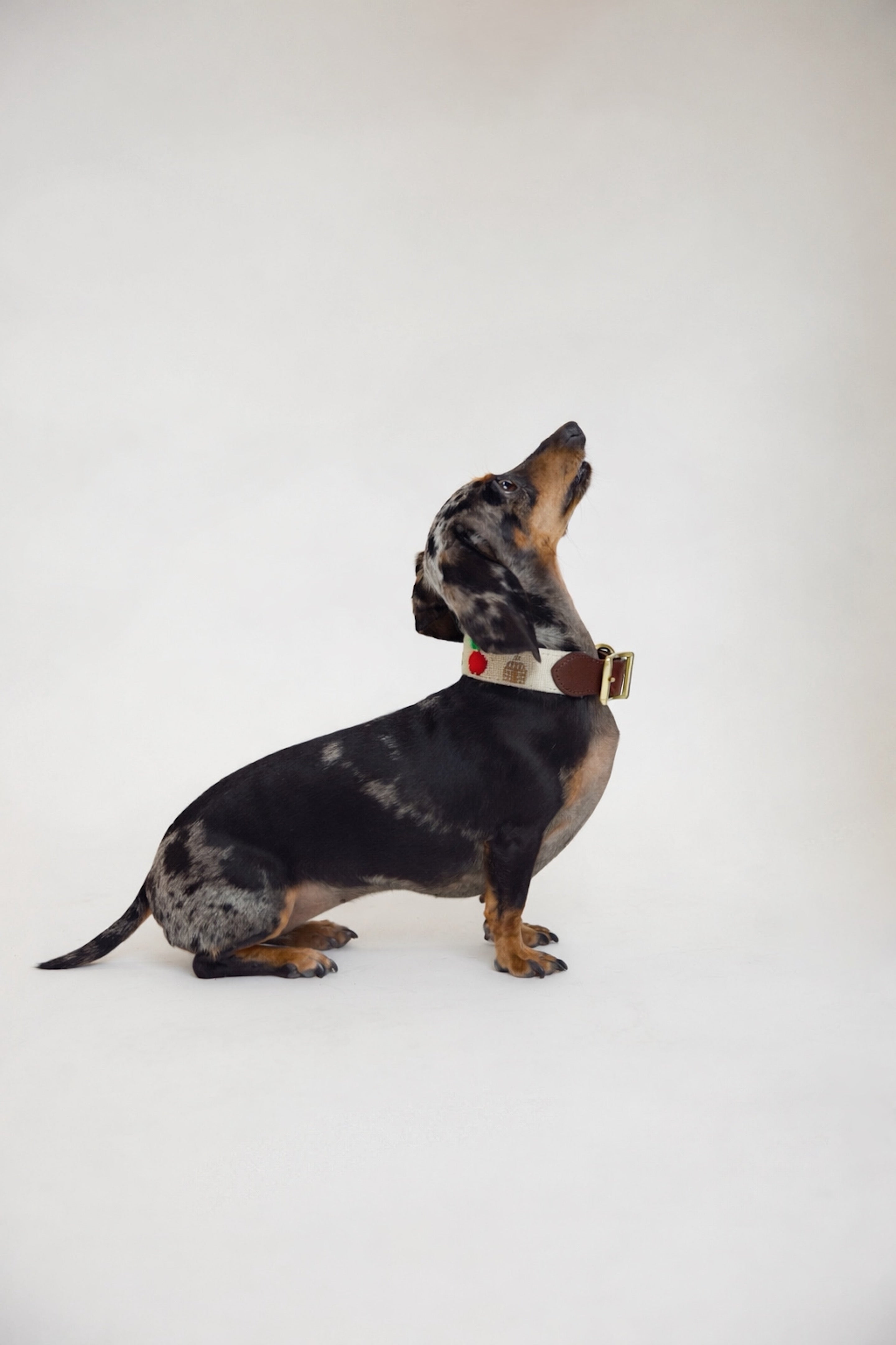 Empire Needlepoint Collar